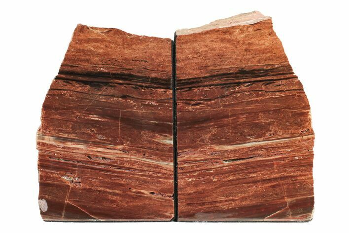 Tall, Arizona Petrified Wood Bookends - Red and Black #240767